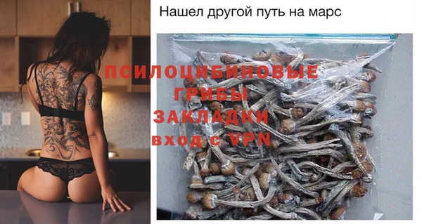 хмурый Балабаново