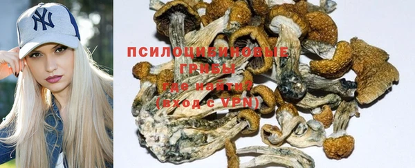 хмурый Балабаново